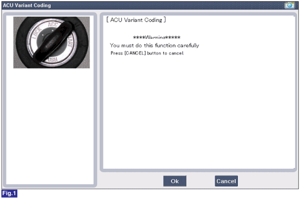 2) ACU Coding Code entering screen